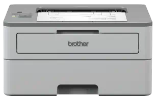 HP Printer